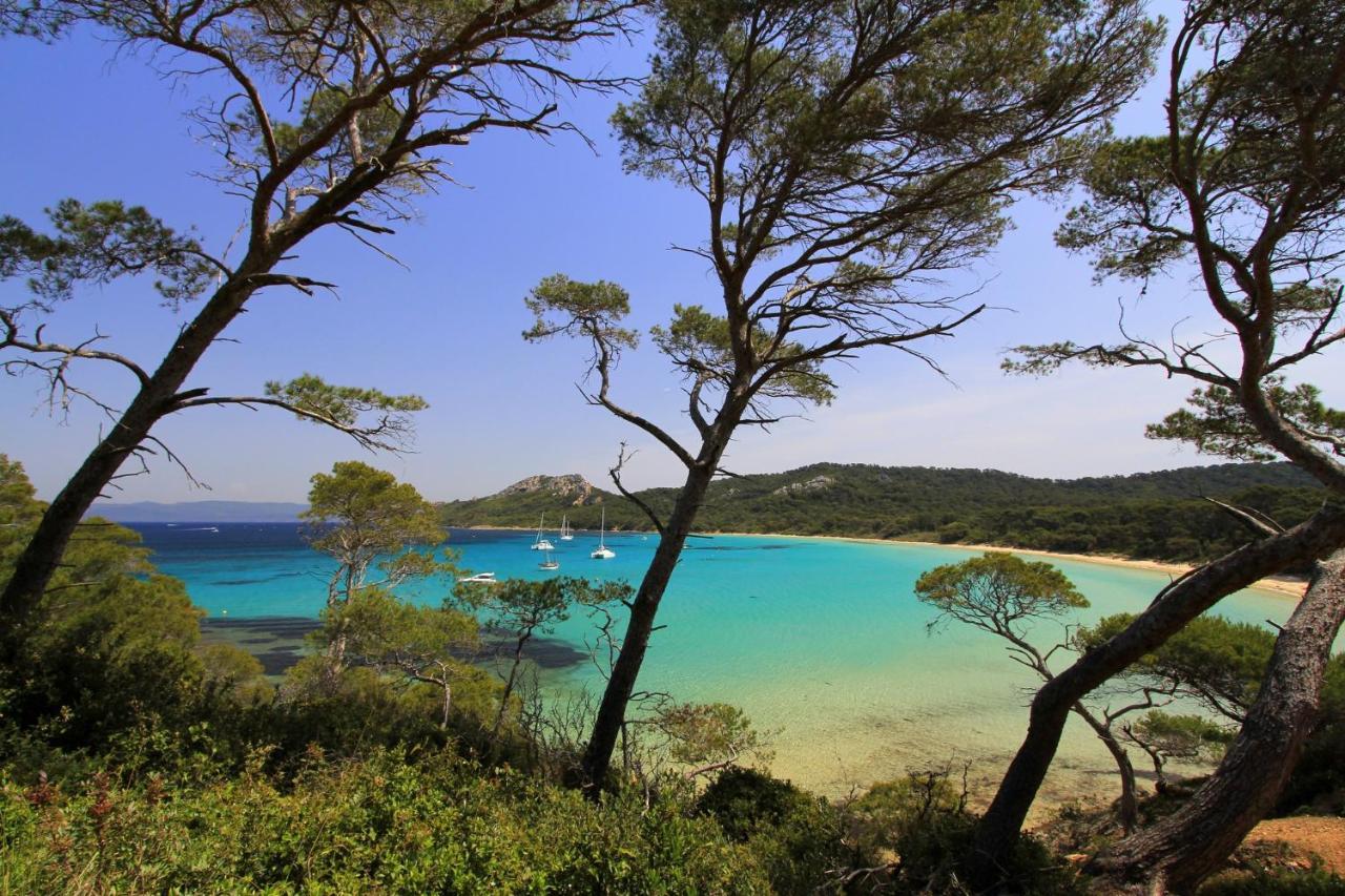 Somptueux Appartement Face A La Mer Toulon Dış mekan fotoğraf